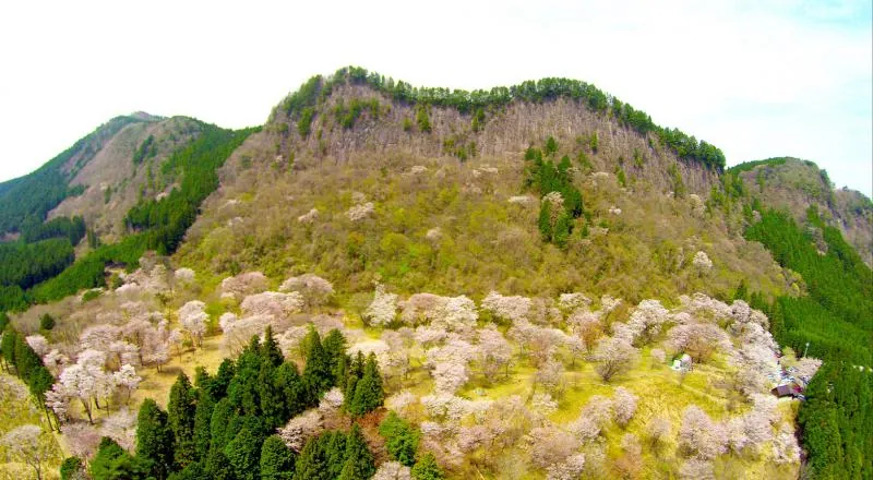 屏風岩公苑