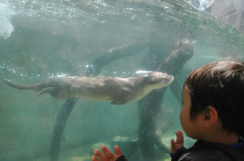 広島市安佐動物公園 2