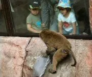広島市安佐動物公園 3