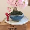 cafe福和家 1