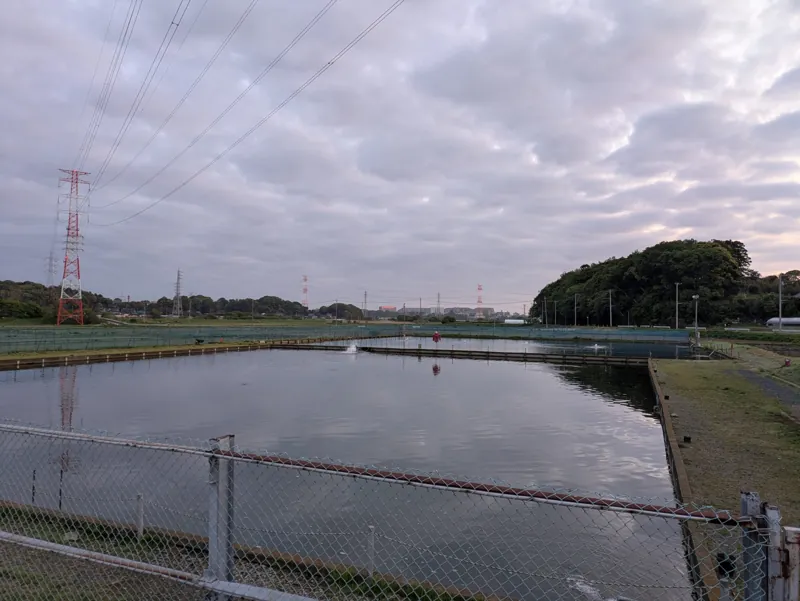 座間養魚場