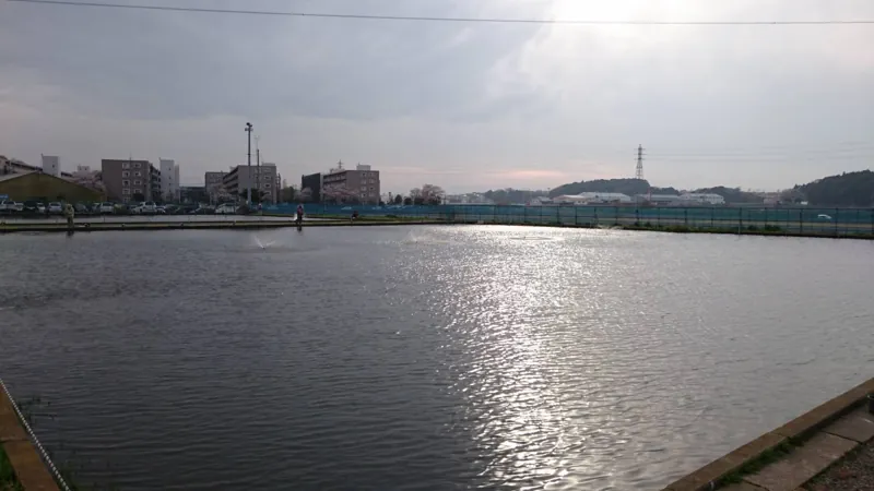座間養魚場 2