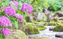 沼尾川親水公園 3