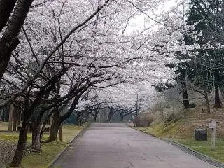 七尾市希望の丘公園 2