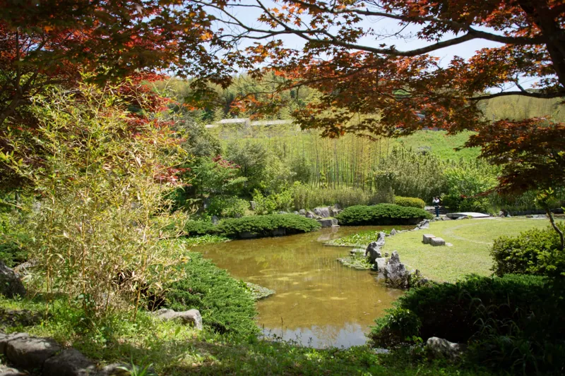 合馬竹林公園 3