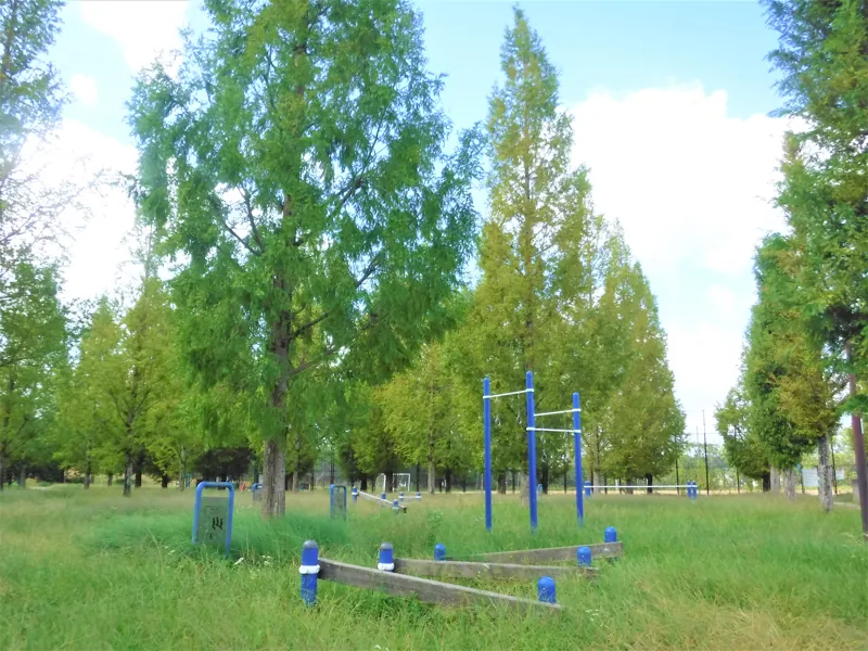 掖谷公園 2