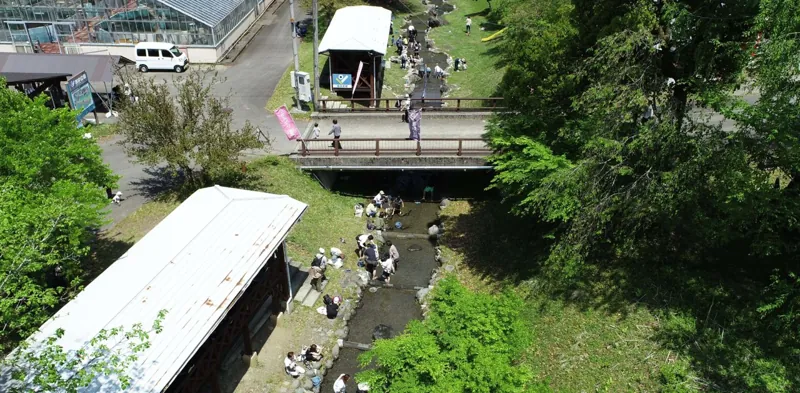 あゆ公園 3