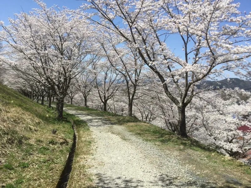 南山公園