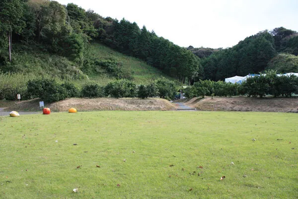 掛川森林果樹公園