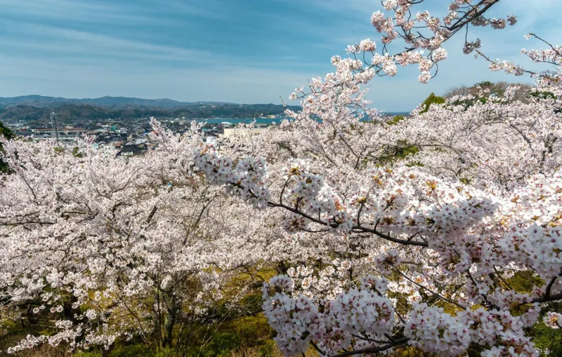 朝日山公園