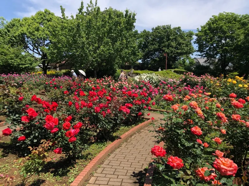 狭山市都市緑化植物園