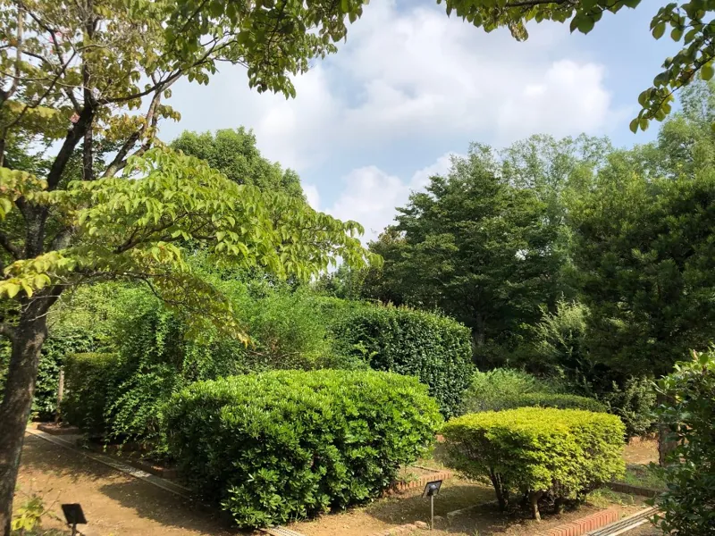 狭山市都市緑化植物園 2