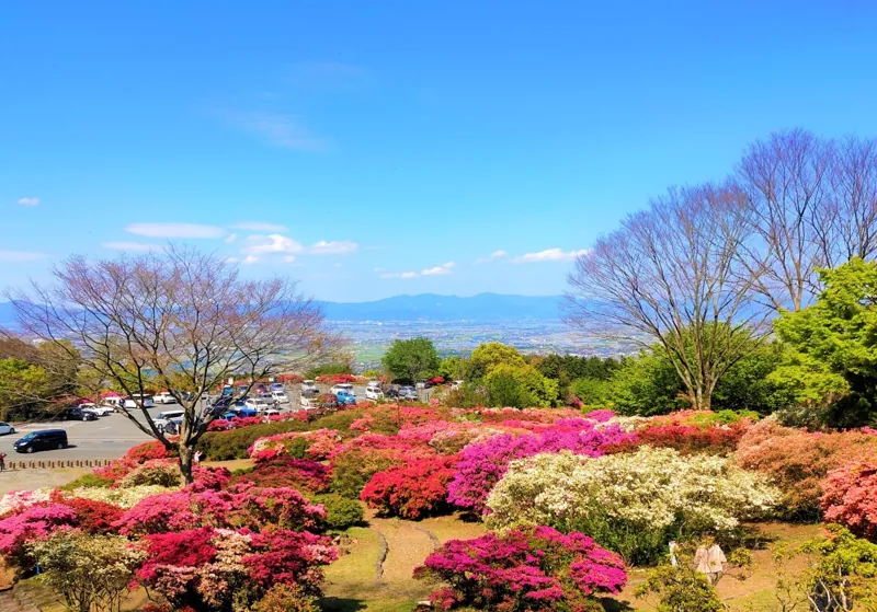 久留米森林つつじ公園