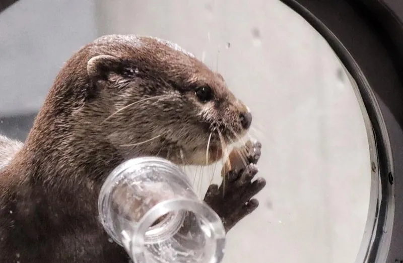 みなとやま水族館 2