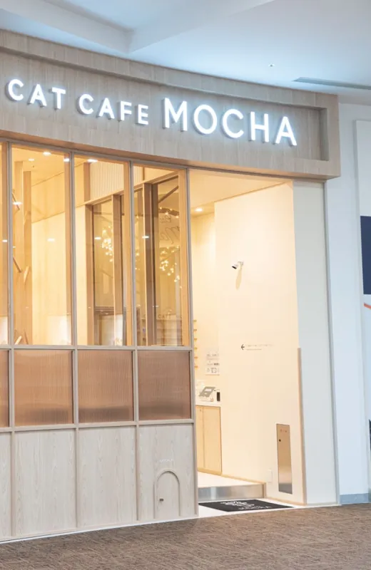 猫カフェMOCHA イオンモール筑紫野店