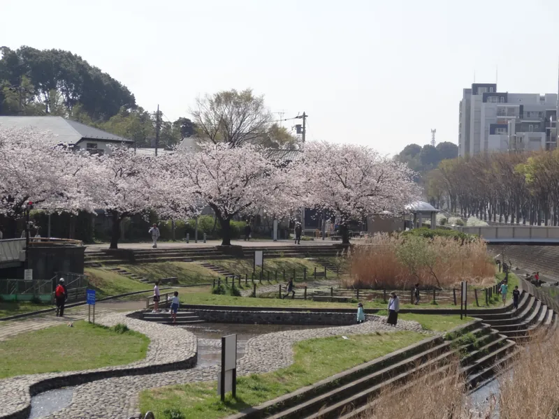 今田遊水地