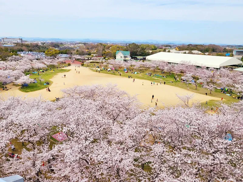 石ケ谷公園 2