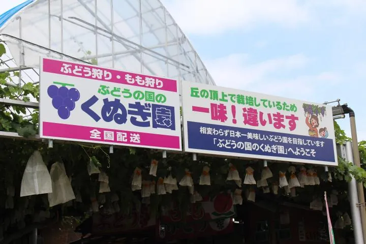 ぶどうの国のくぬぎ園