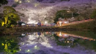 観音ヶ池市民の森 2