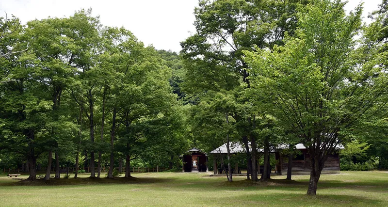 焼地台公園