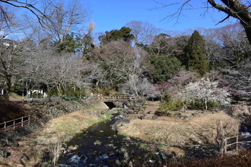 偕 楽園 2