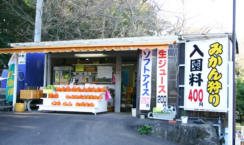 城ヶ崎オレンジ村 2