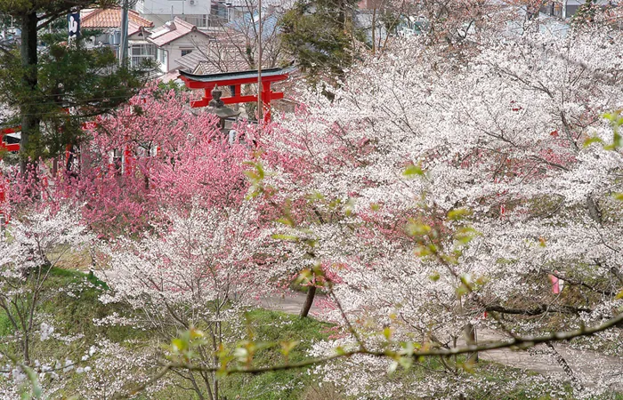 王地山公園 2