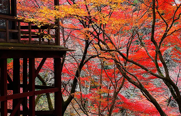 王地山公園 3