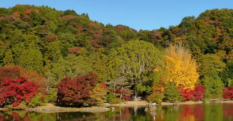 願成寺 白水阿弥陀堂 2