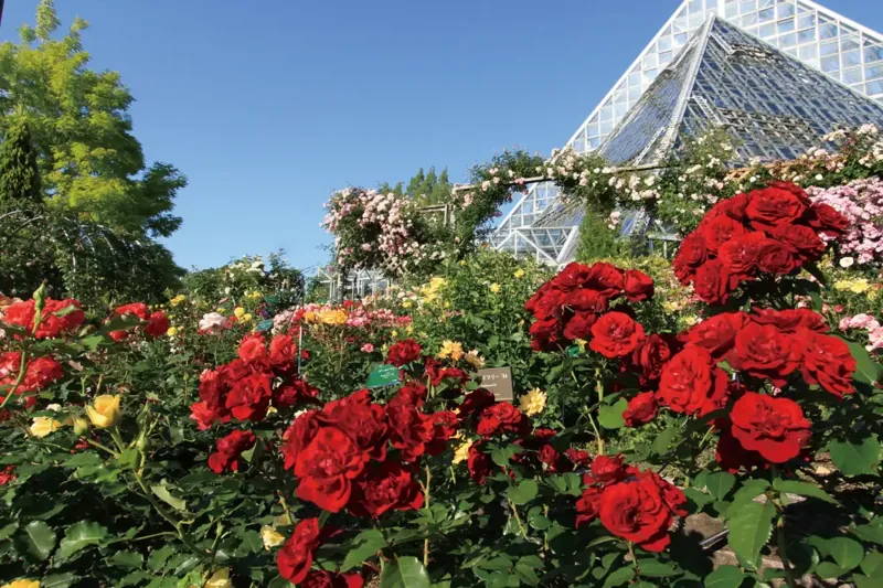 大阪府立花の文化園