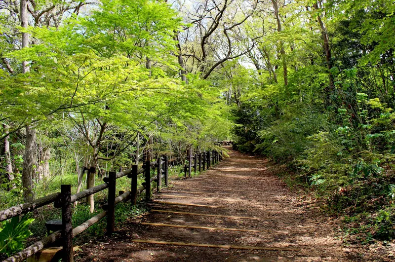俣野別邸庭園 3
