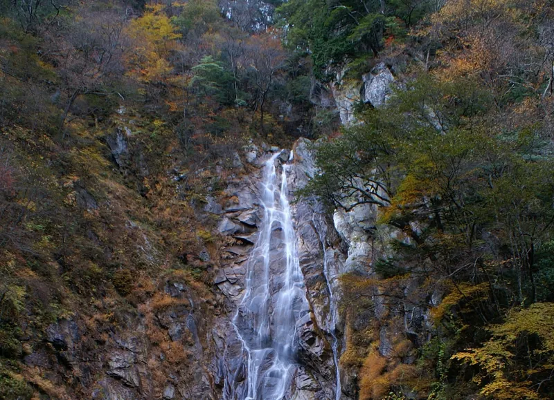 篠沢大滝キャンプ場 2