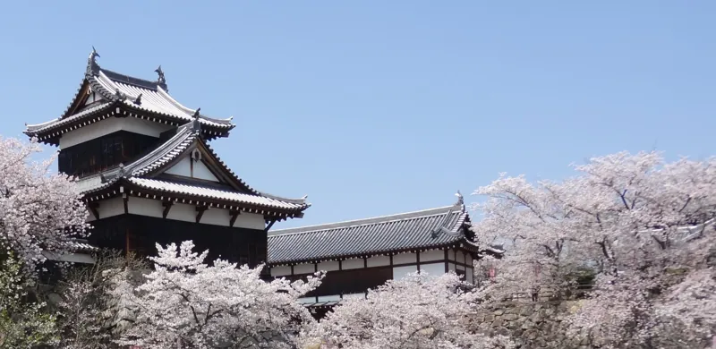 郡山城跡公園