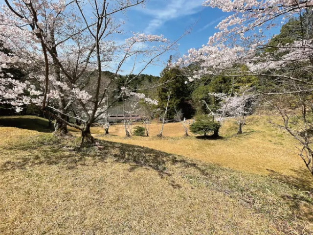 甲賀市水口スポーツの森