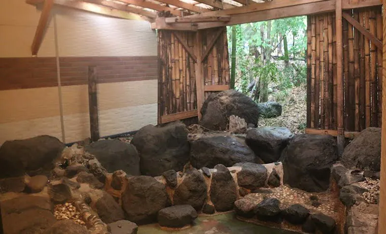 新富士オートキャンプ場 3