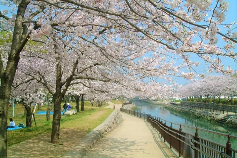 平和市民公園 2