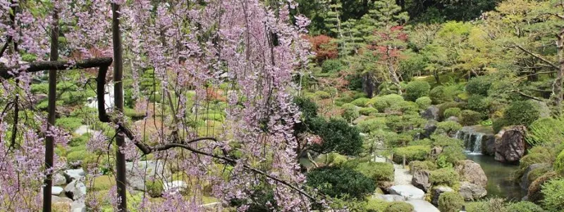 玉翠園
