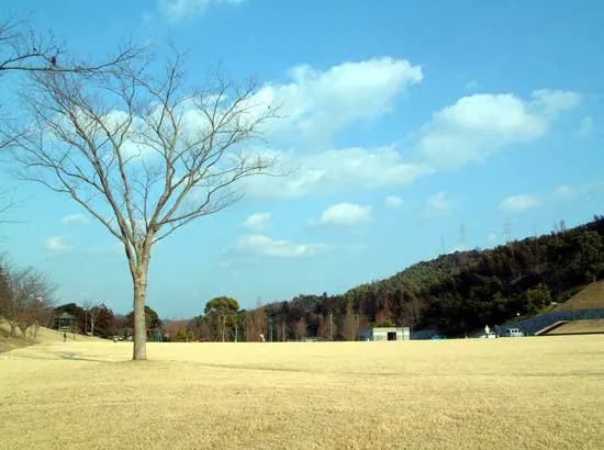 藤山健康文化公園 3