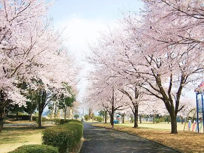 壬生町総合公園 3