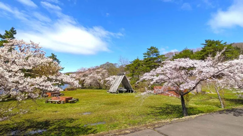 逆川森林公園 2