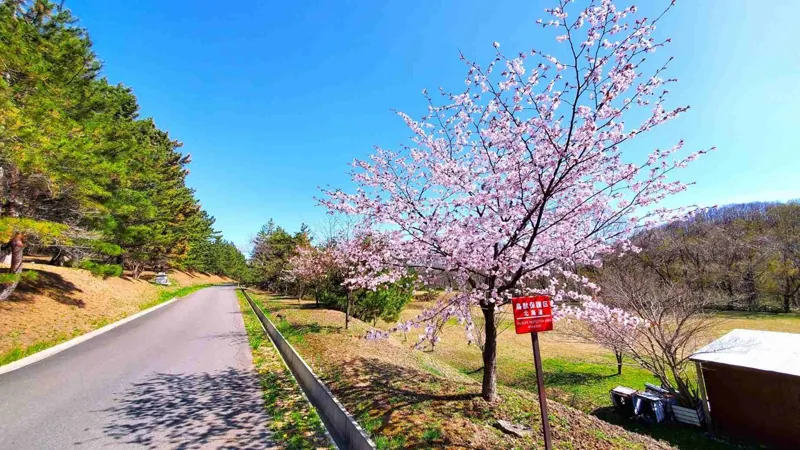 逆川森林公園 3