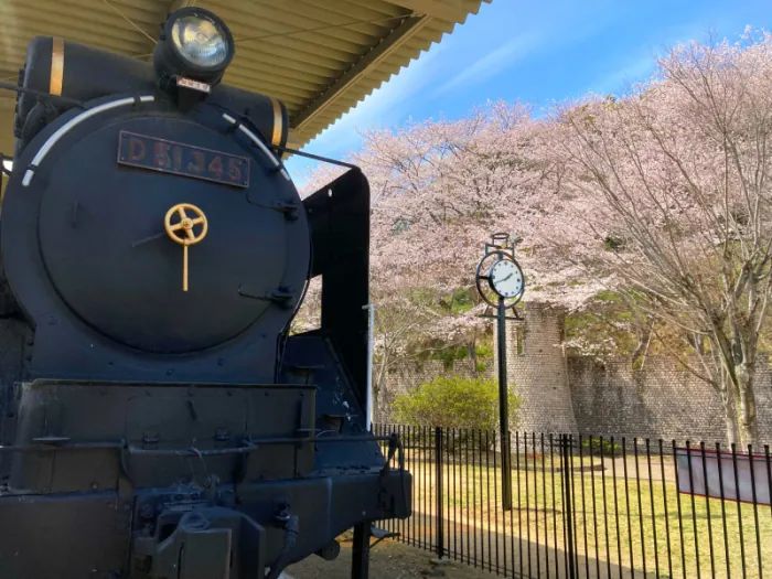 太子山公園