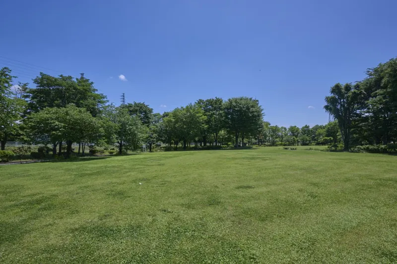 浜川運動公園 3
