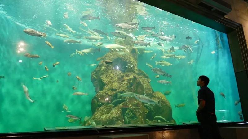 標津サーモン科学館 2