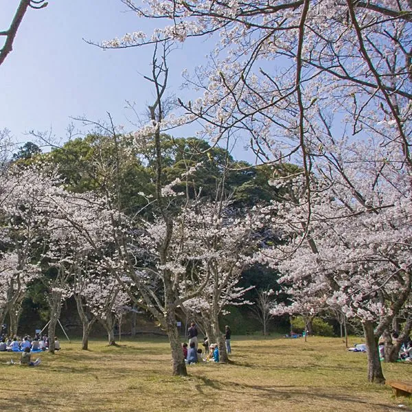城山公園