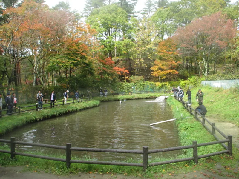 いわなの郷 釣り堀