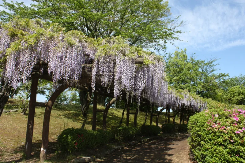 松任グリーンパーク