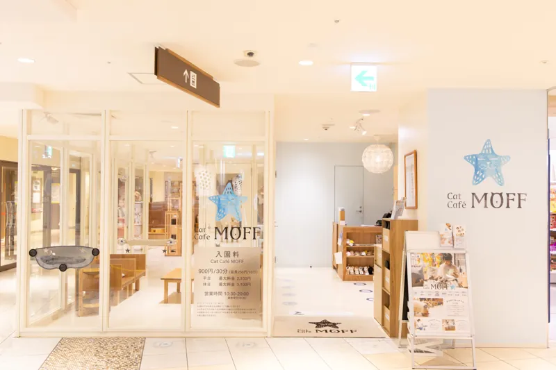 Cat Café MOFF 天王寺ミオ店