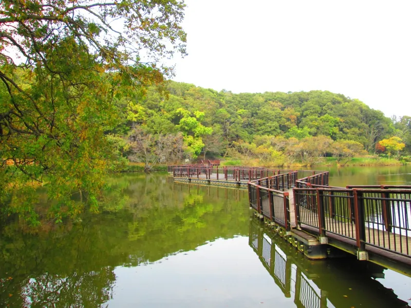 坂田ヶ池総合公園