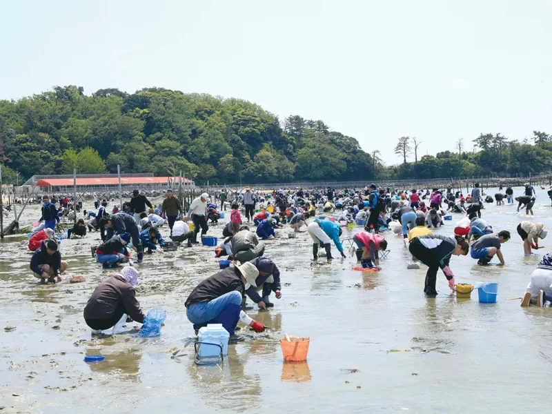 東幡豆海岸・前島 潮干狩り場